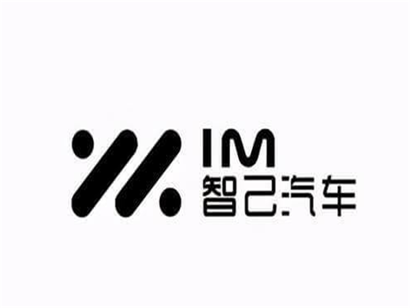<h3>智己</h3>